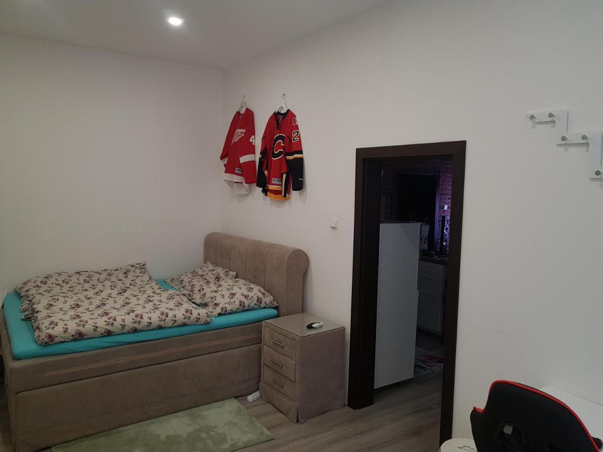 Apartman Karlovy Vary Apartment Exterior foto